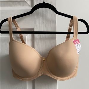 36G Bra